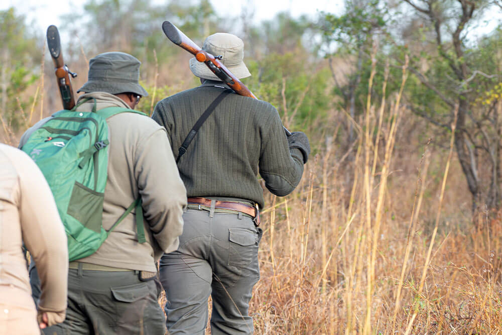 Walking Safaris