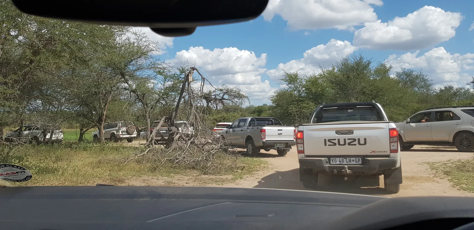 Self-Drive vs Guided Safari in Kruger