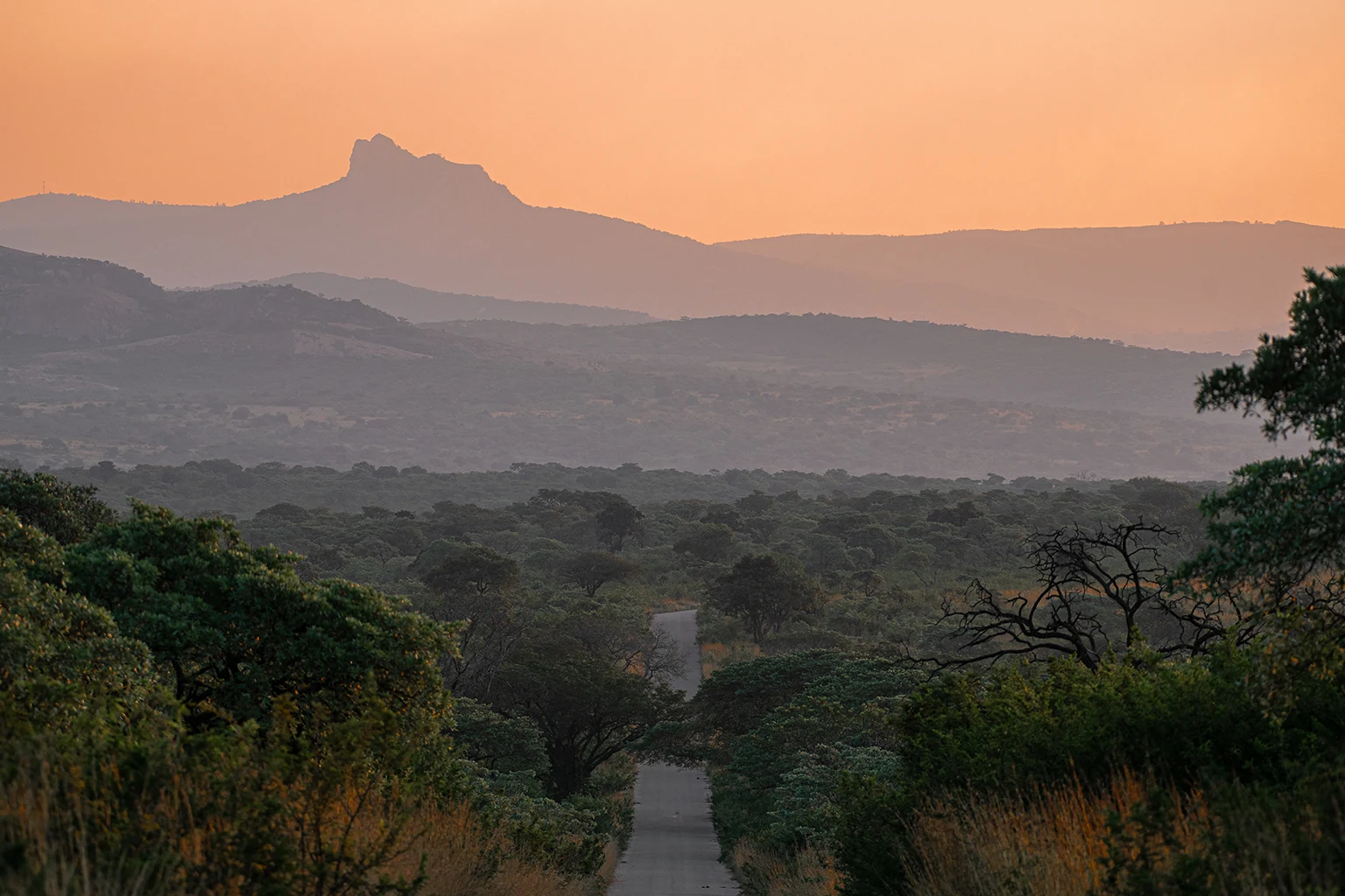 Johannesburg to Kruger by Car: The N4 Road Trip with a Rhino Stop at Alzu