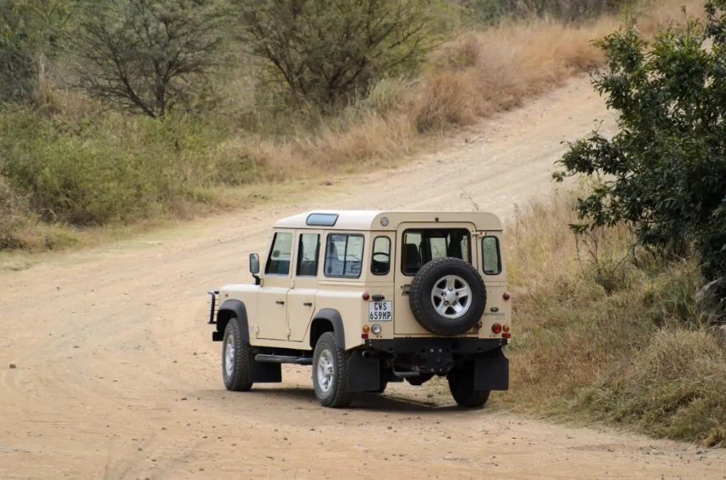 What to Pack for a Kruger Self-Drive Safari (Season by Season)