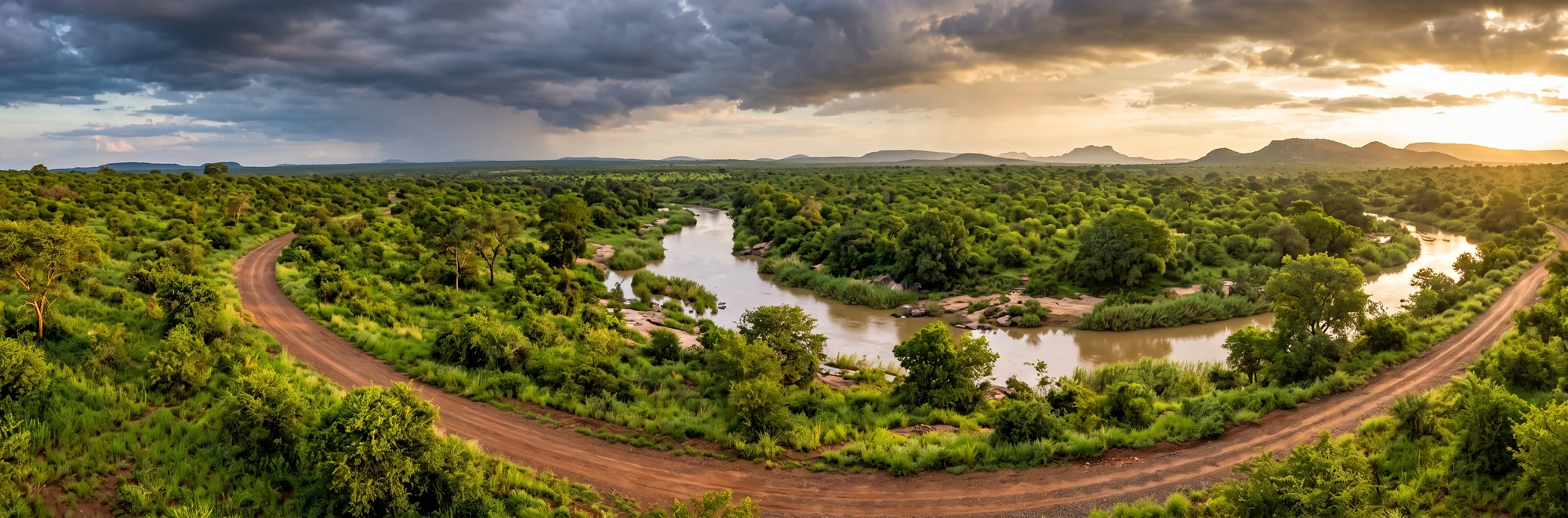 Green summer landscape with a river and dirt road in Kruger National Park